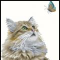 Cat and butterfly ()