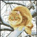 Fat cat on the tree (/)