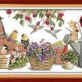 Birds in garden (/) 