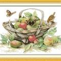 Fruit basket (/)