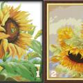 Sunflower (/)(/)