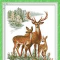 Deer family (/)