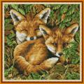 Two foxes (/)