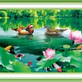 Lotus pond ()