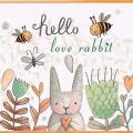 Love rabbit ()
