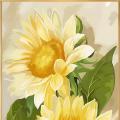Sunflower ()