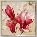 Magnolia flower ()