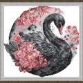 Black swan and peony (/)
